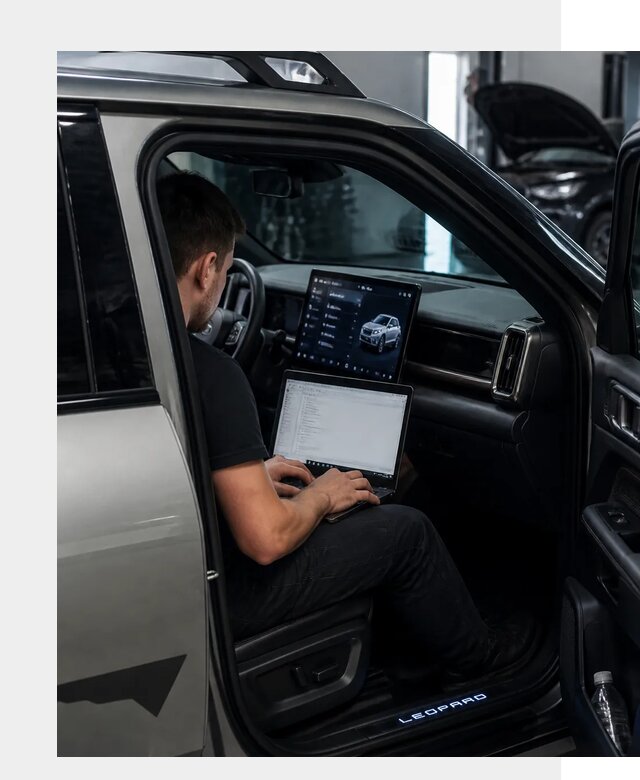 Русификация BYD Leopard 3 в Королёве по цене от 20690 р. | ФастМобиль-Кор